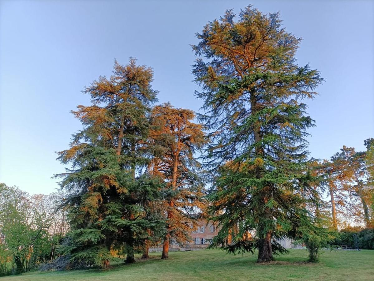 Le Jardin Des Cedres Hotell Lavaur  Eksteriør bilde