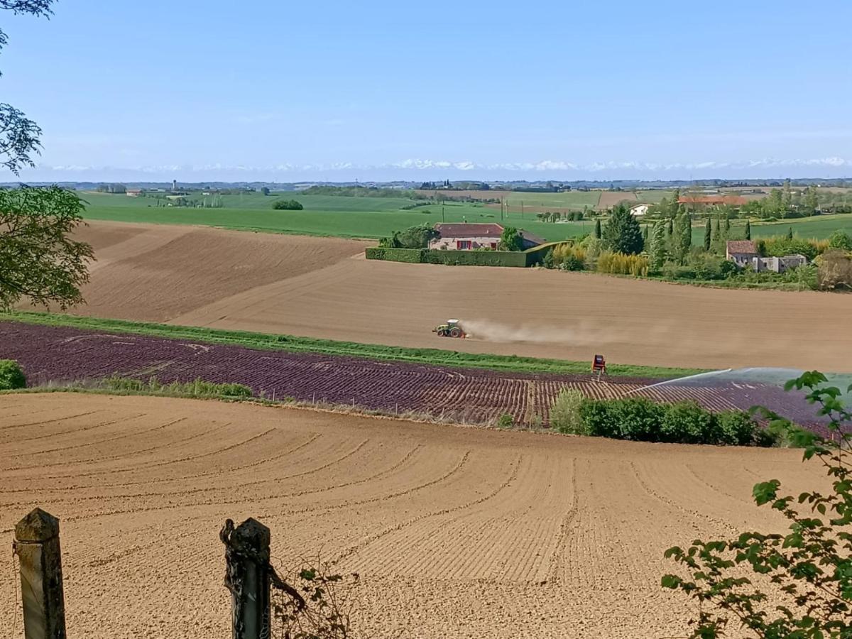 Le Jardin Des Cedres Hotell Lavaur  Eksteriør bilde