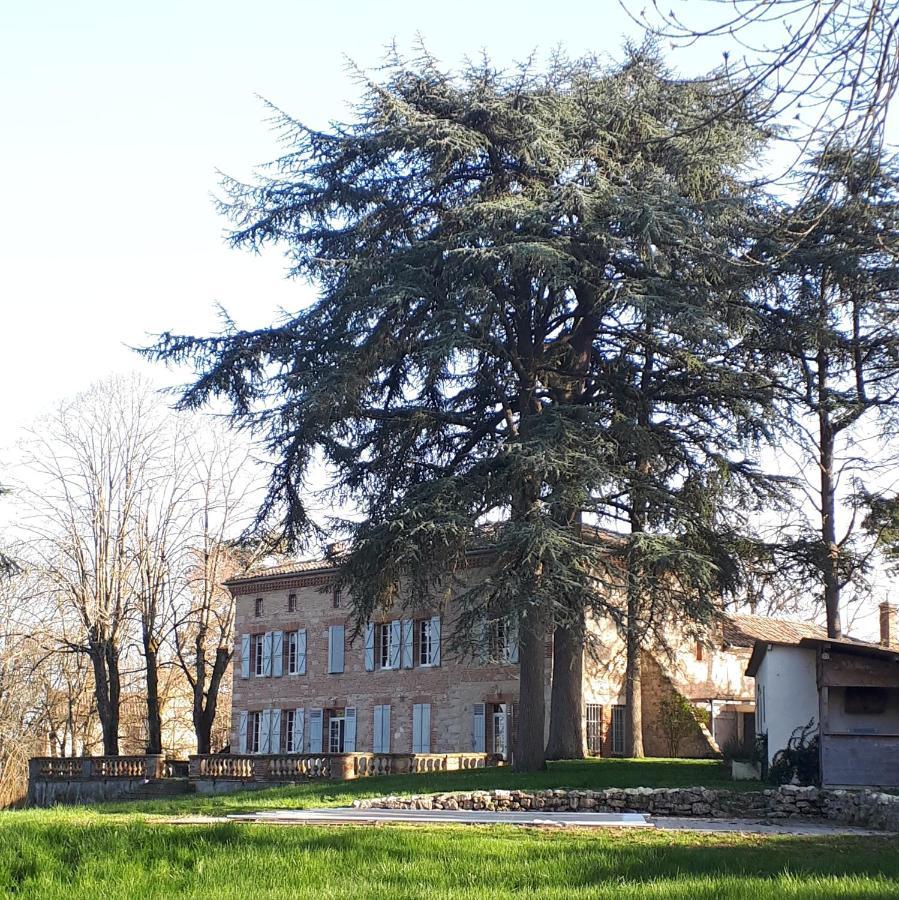Le Jardin Des Cedres Hotell Lavaur  Eksteriør bilde