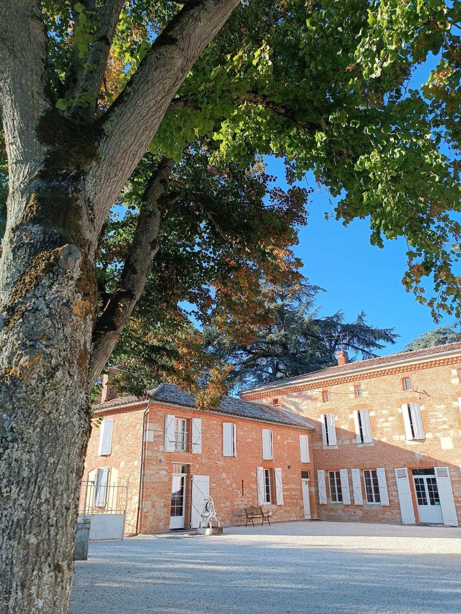 Le Jardin Des Cedres Hotell Lavaur  Eksteriør bilde