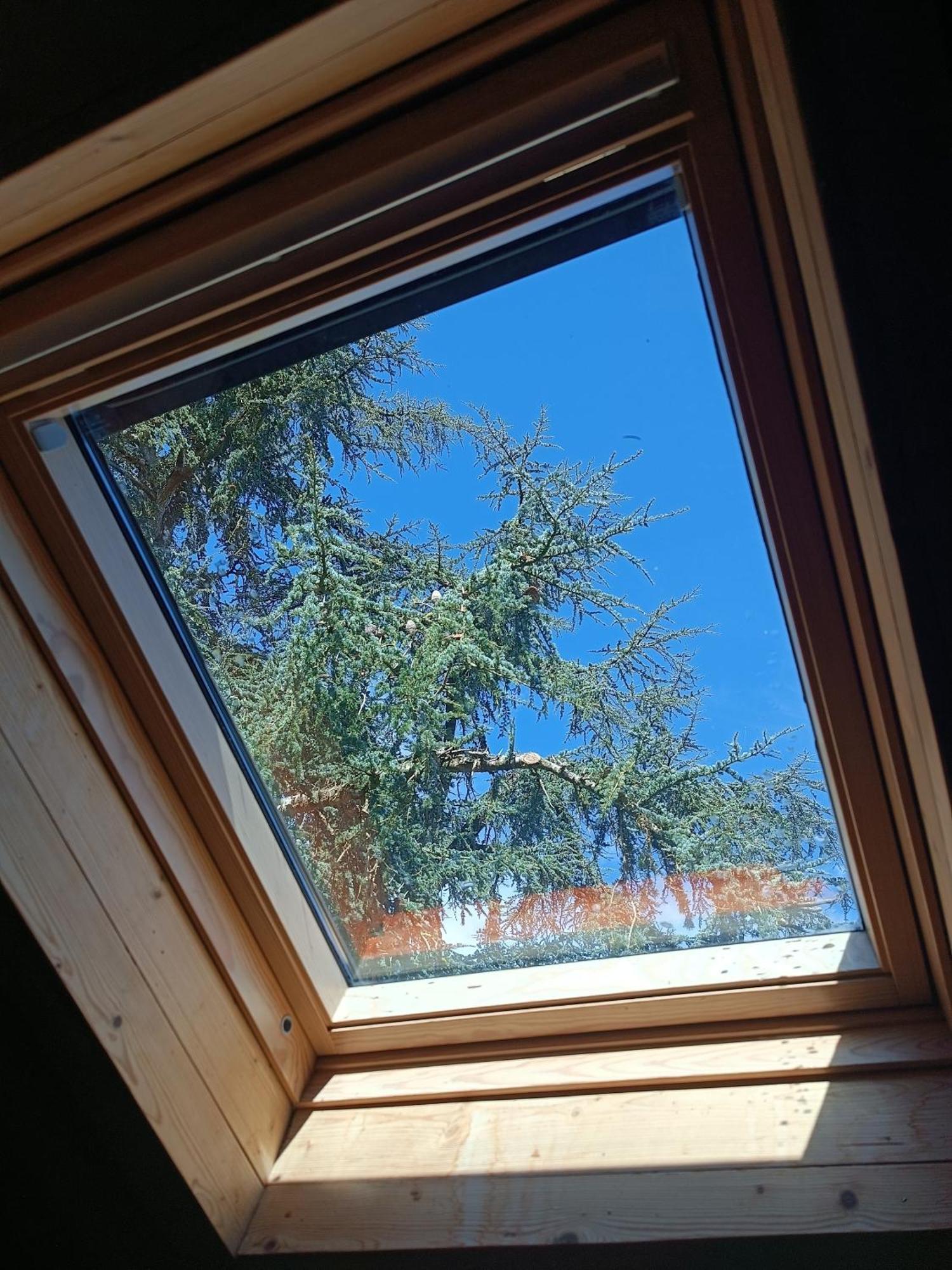 Le Jardin Des Cedres Hotell Lavaur  Rom bilde