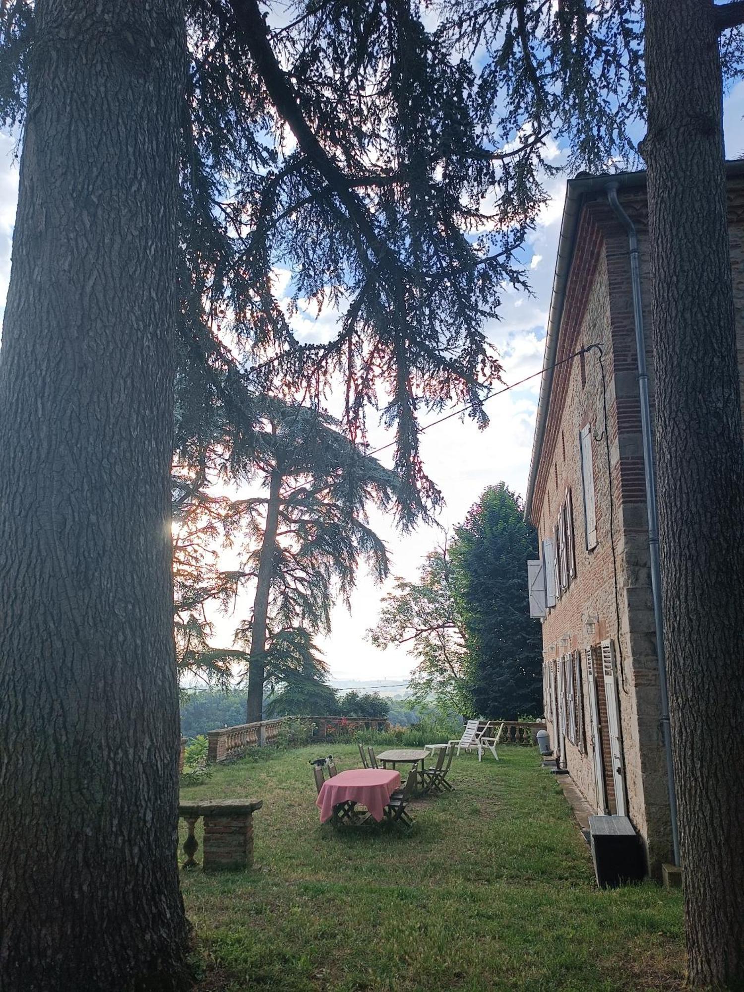 Le Jardin Des Cedres Hotell Lavaur  Eksteriør bilde