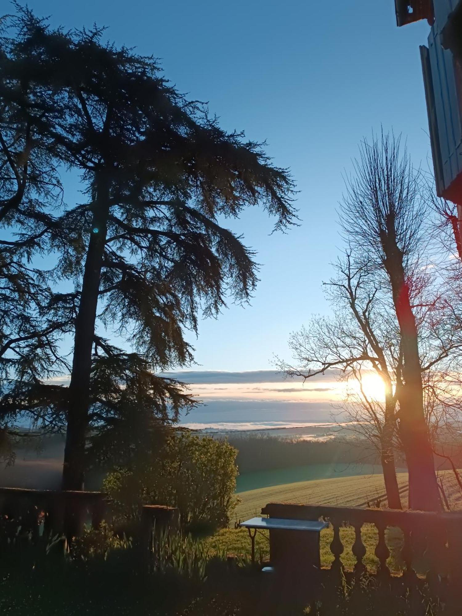 Le Jardin Des Cedres Hotell Lavaur  Eksteriør bilde