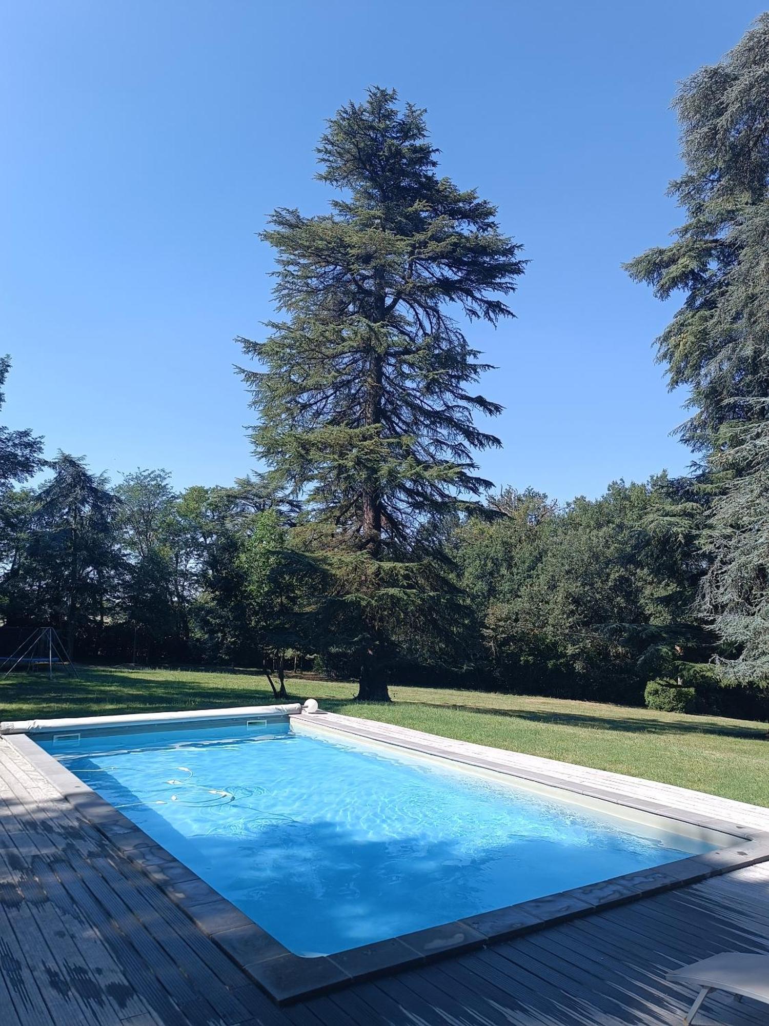 Le Jardin Des Cedres Hotell Lavaur  Eksteriør bilde
